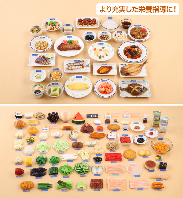 追加フォロー料理&食材セット(98種)